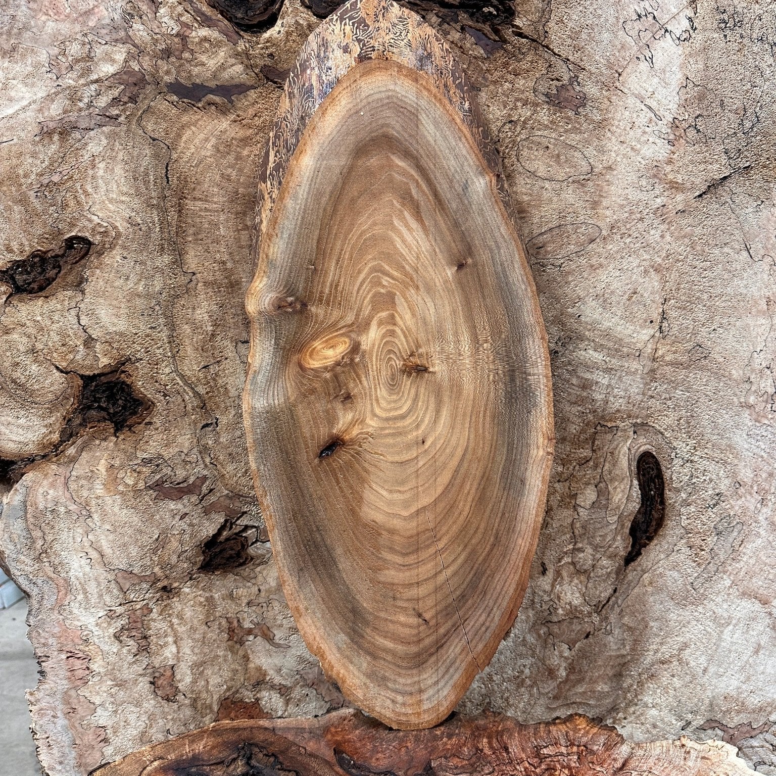 LiveEdge Elm | Elm | Hamilton Lee Supply