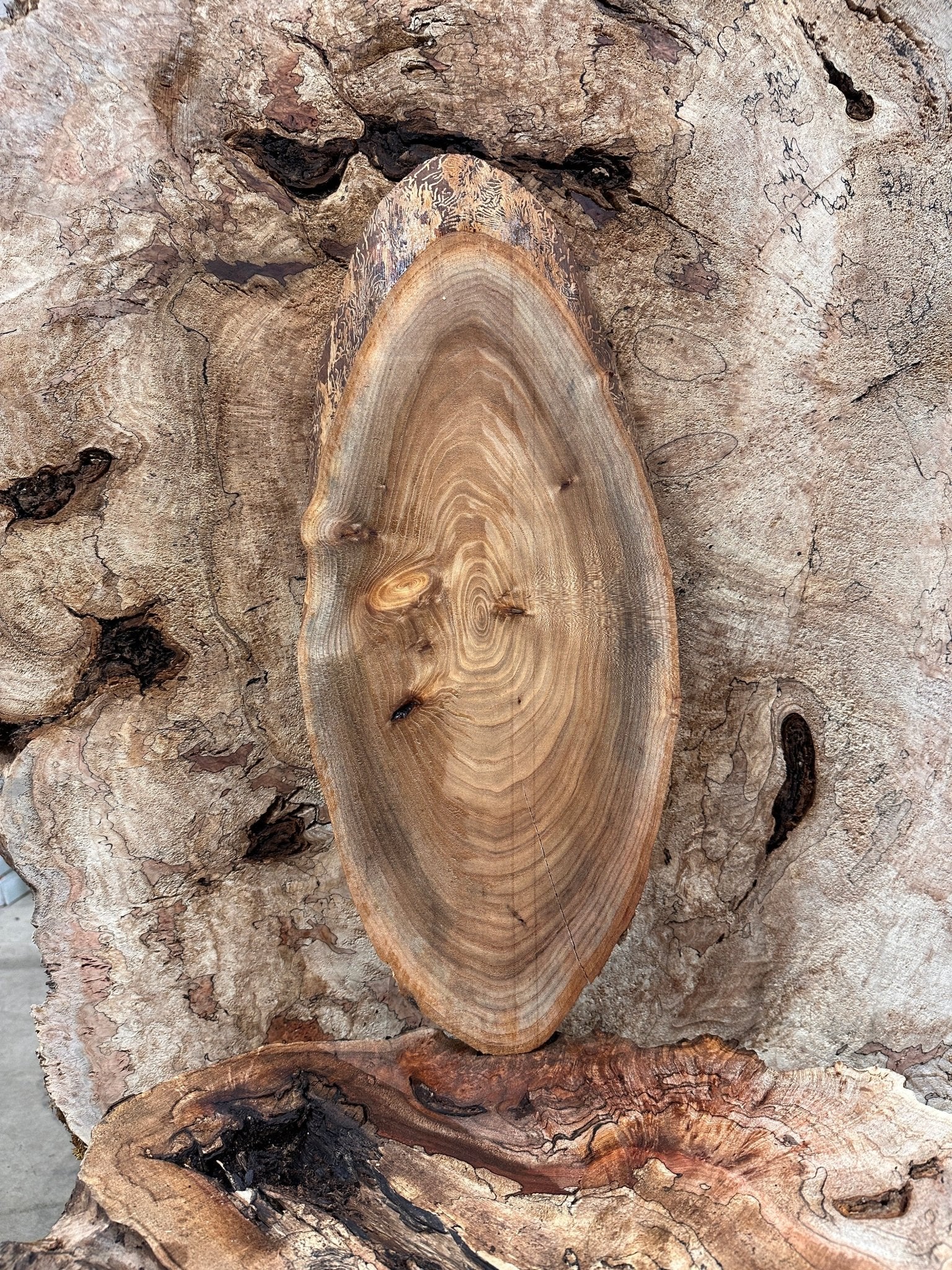 LiveEdge Elm | Elm | Hamilton Lee Supply