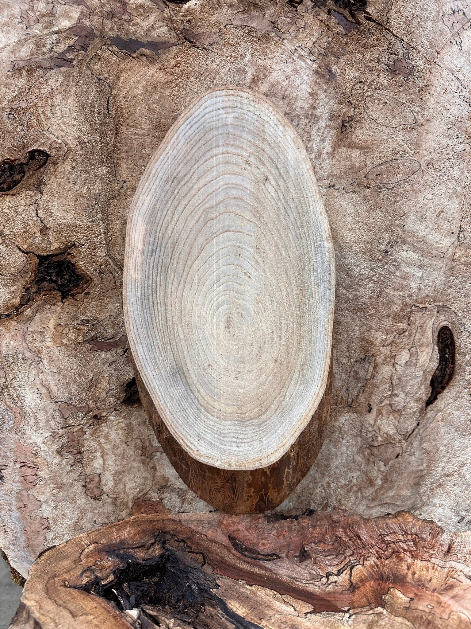 LiveEdge Elm | Elm | Hamilton Lee Supply