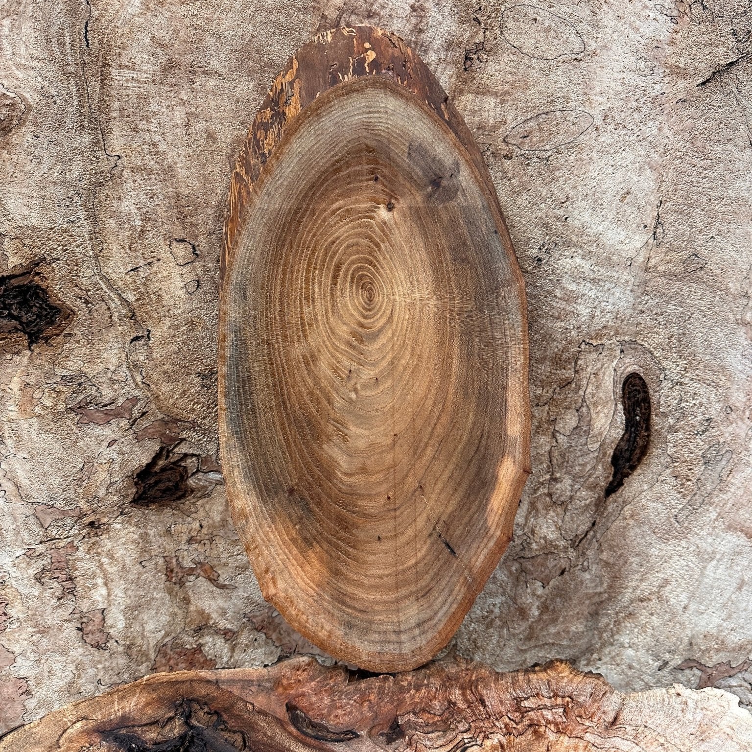 LiveEdge Elm | Elm | Hamilton Lee Supply