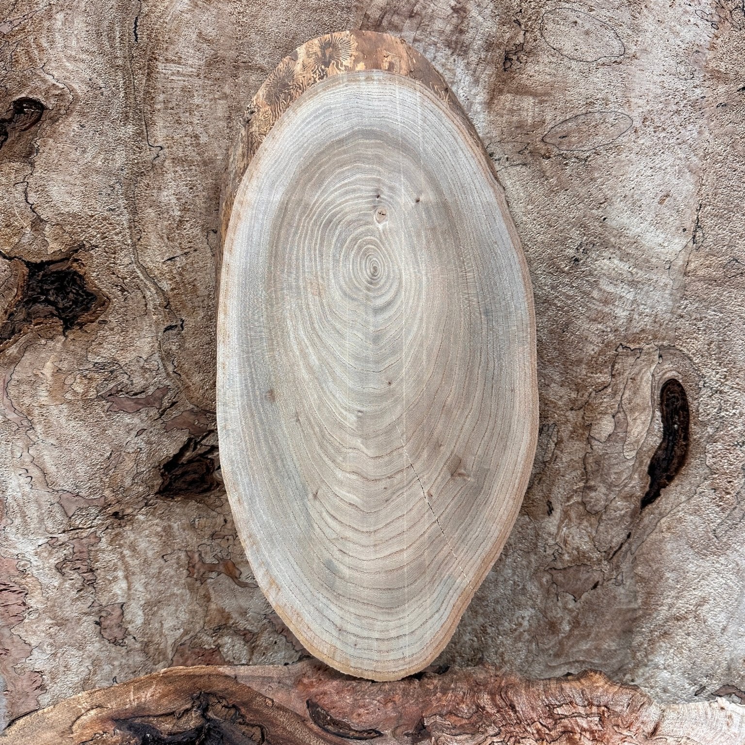 LiveEdge Elm | Elm | Hamilton Lee Supply