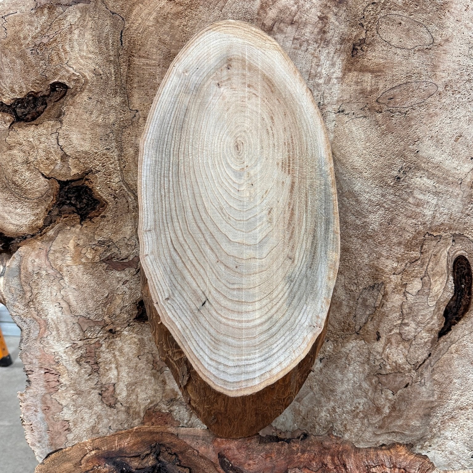 LiveEdge Elm | Elm | Hamilton Lee Supply
