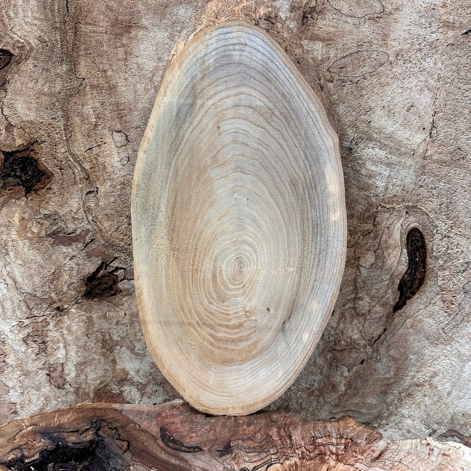 LiveEdge Elm | Elm | Hamilton Lee Supply