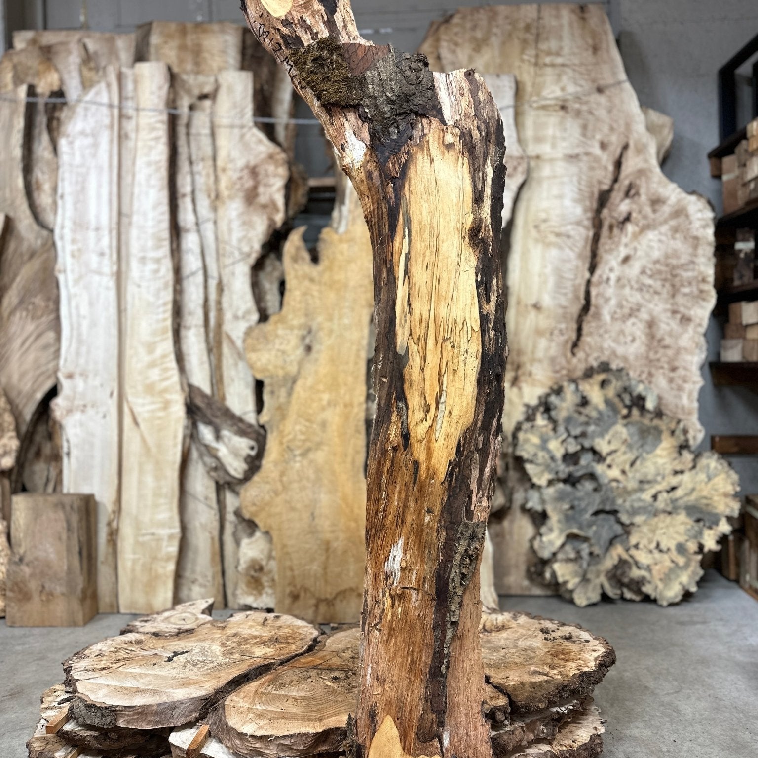 LiveEdge English Walnut | English Walnut | Hamilton Lee Supply
