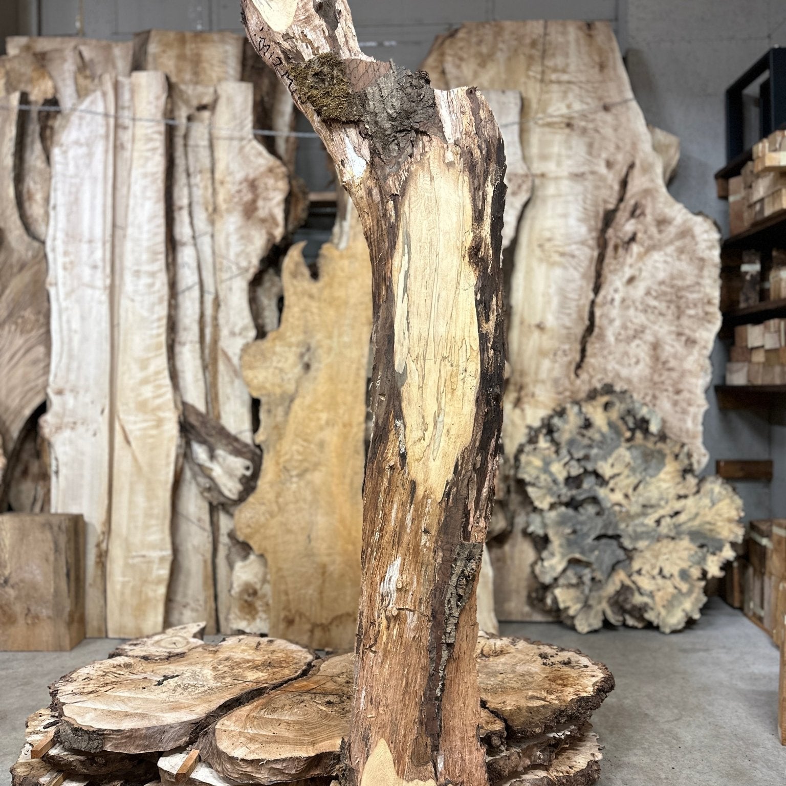 LiveEdge English Walnut | English Walnut | Hamilton Lee Supply