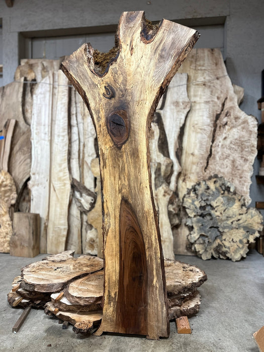 Double Diamond | LiveEdge English Walnut | English Walnut | Hamilton Lee Supply