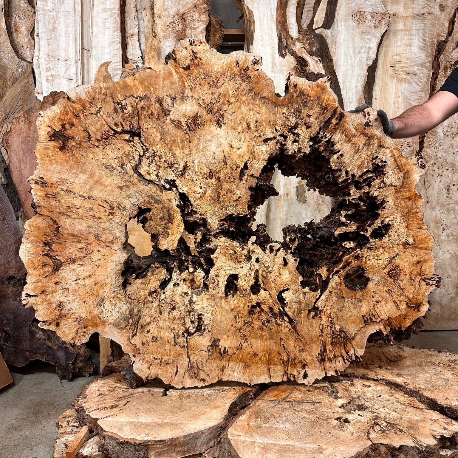 LiveEdge Mappa Burl Cookie | Mappa Burl | Hamilton Lee Supply