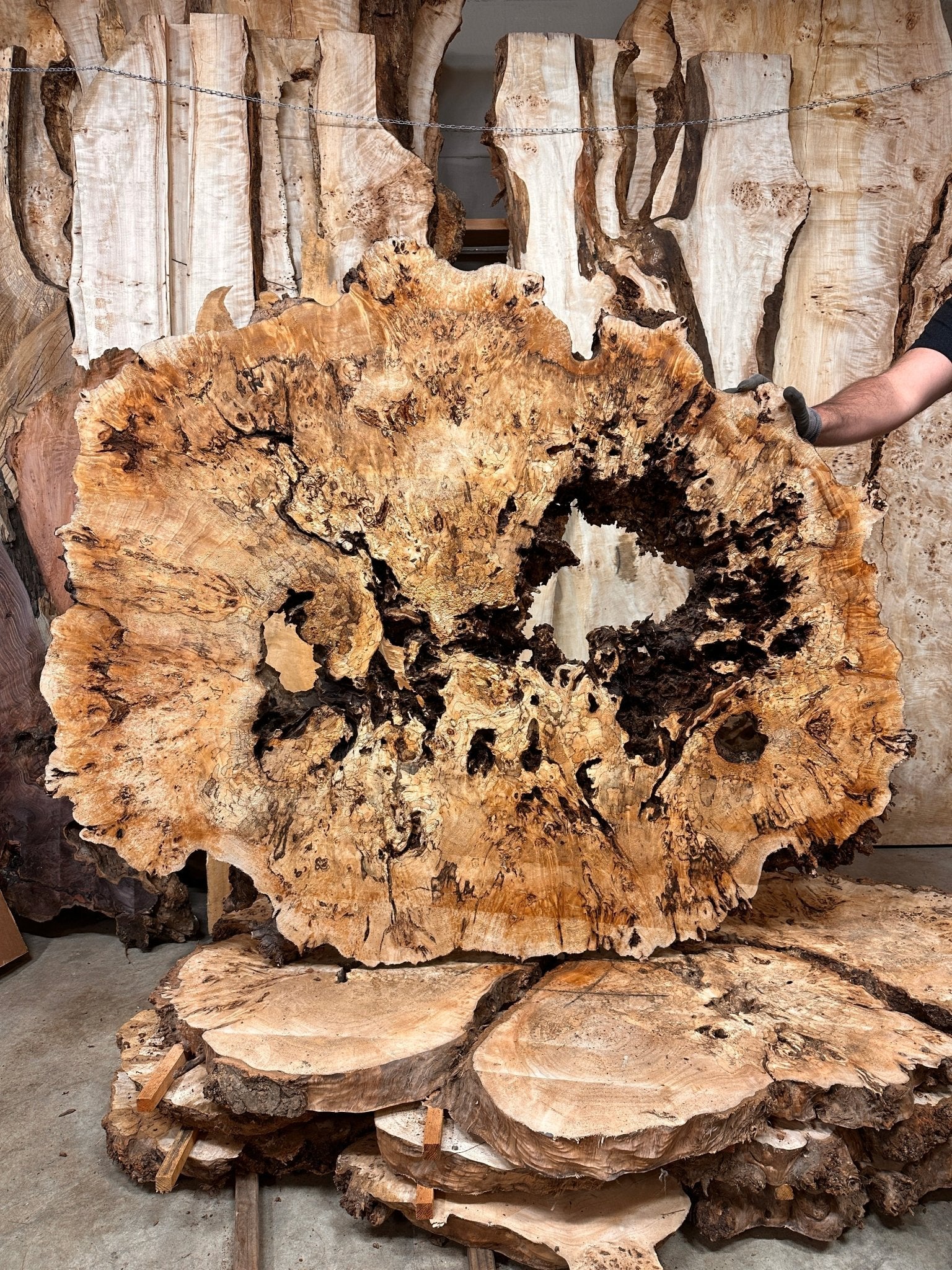 LiveEdge Mappa Burl Cookie | Mappa Burl | Hamilton Lee Supply