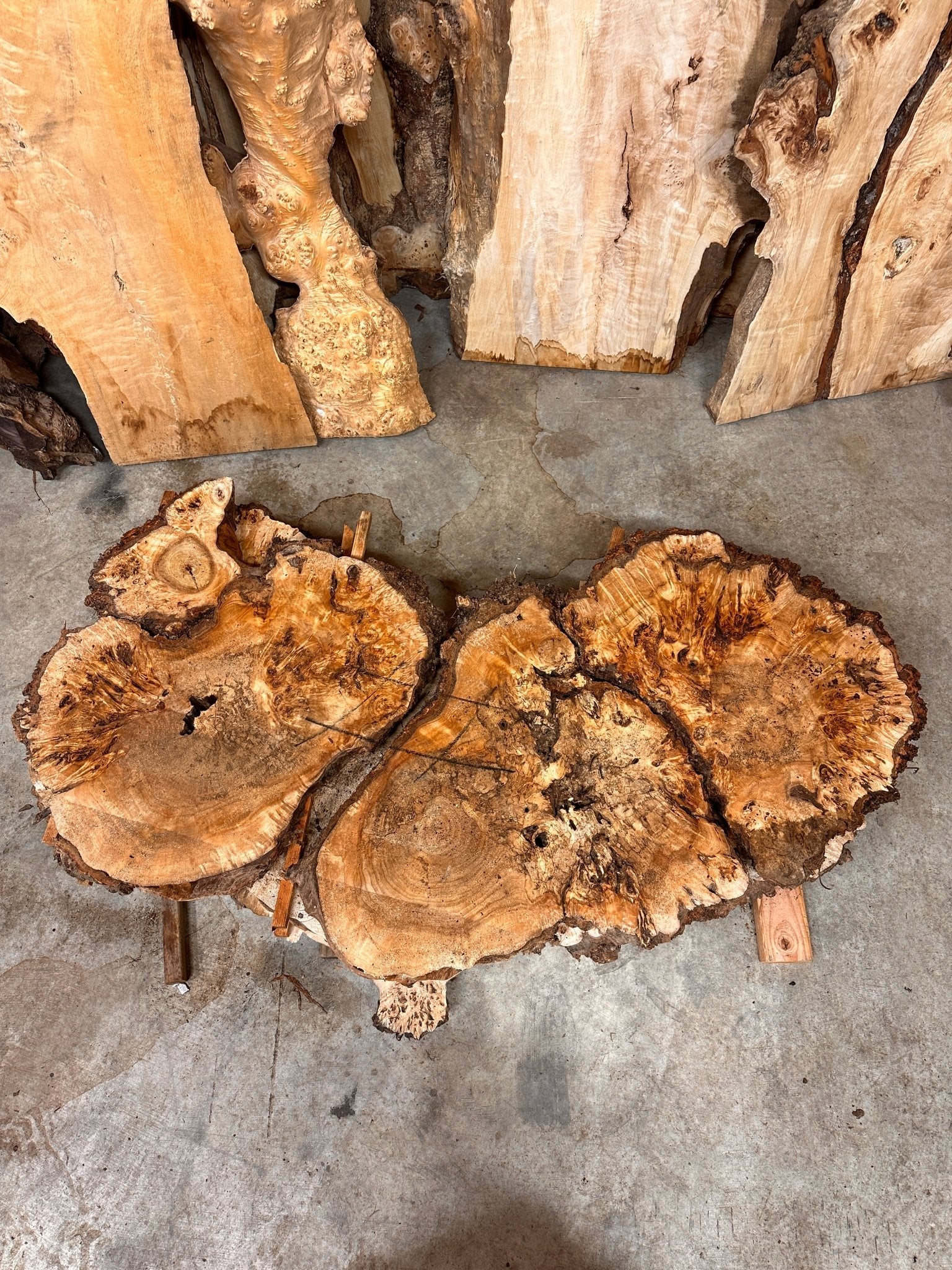 LiveEdge Mappa Burl Cookie | Mappa Burl | Hamilton Lee Supply