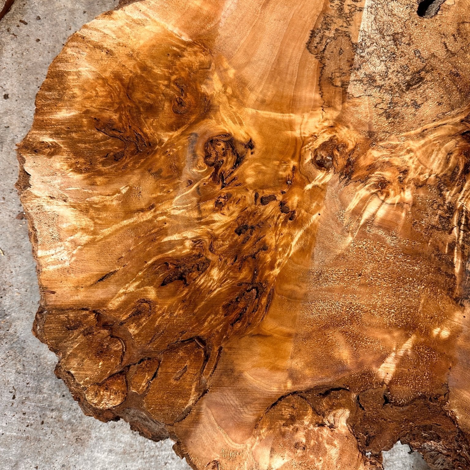 LiveEdge Mappa Burl Cookie | Mappa Burl | Hamilton Lee Supply