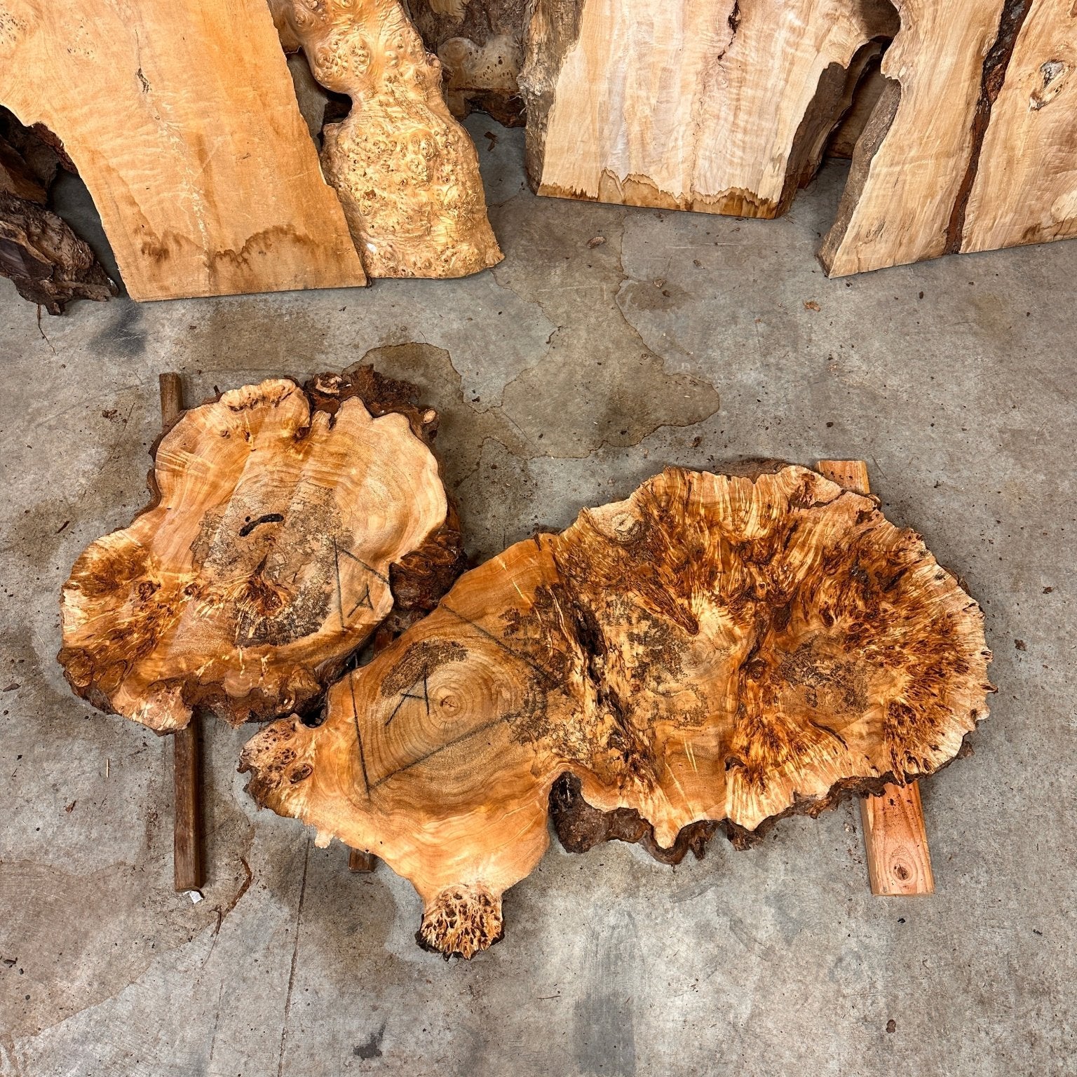 LiveEdge Mappa Burl Cookie | Mappa Burl | Hamilton Lee Supply