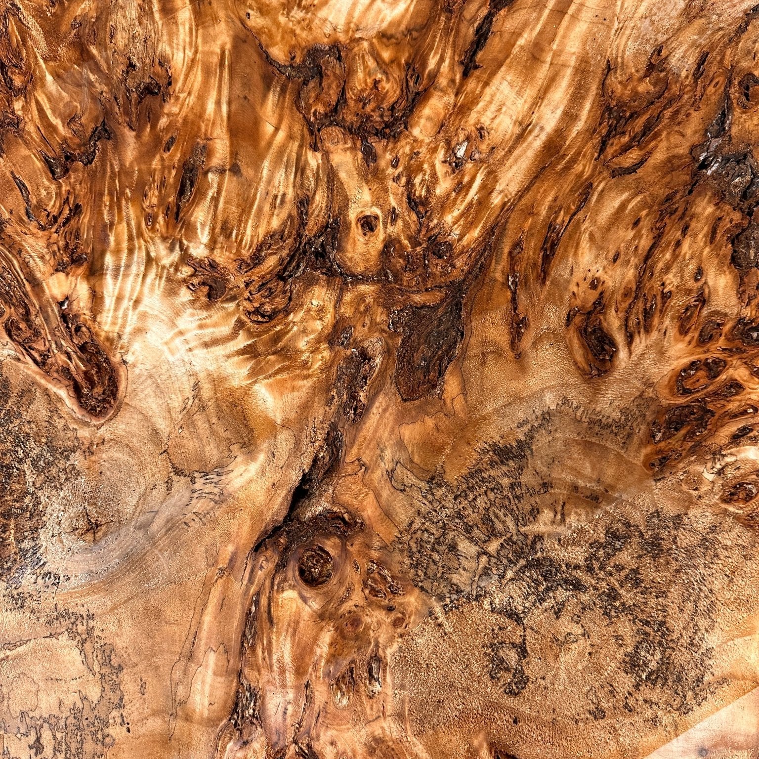 LiveEdge Mappa Burl Cookie | Mappa Burl | Hamilton Lee Supply