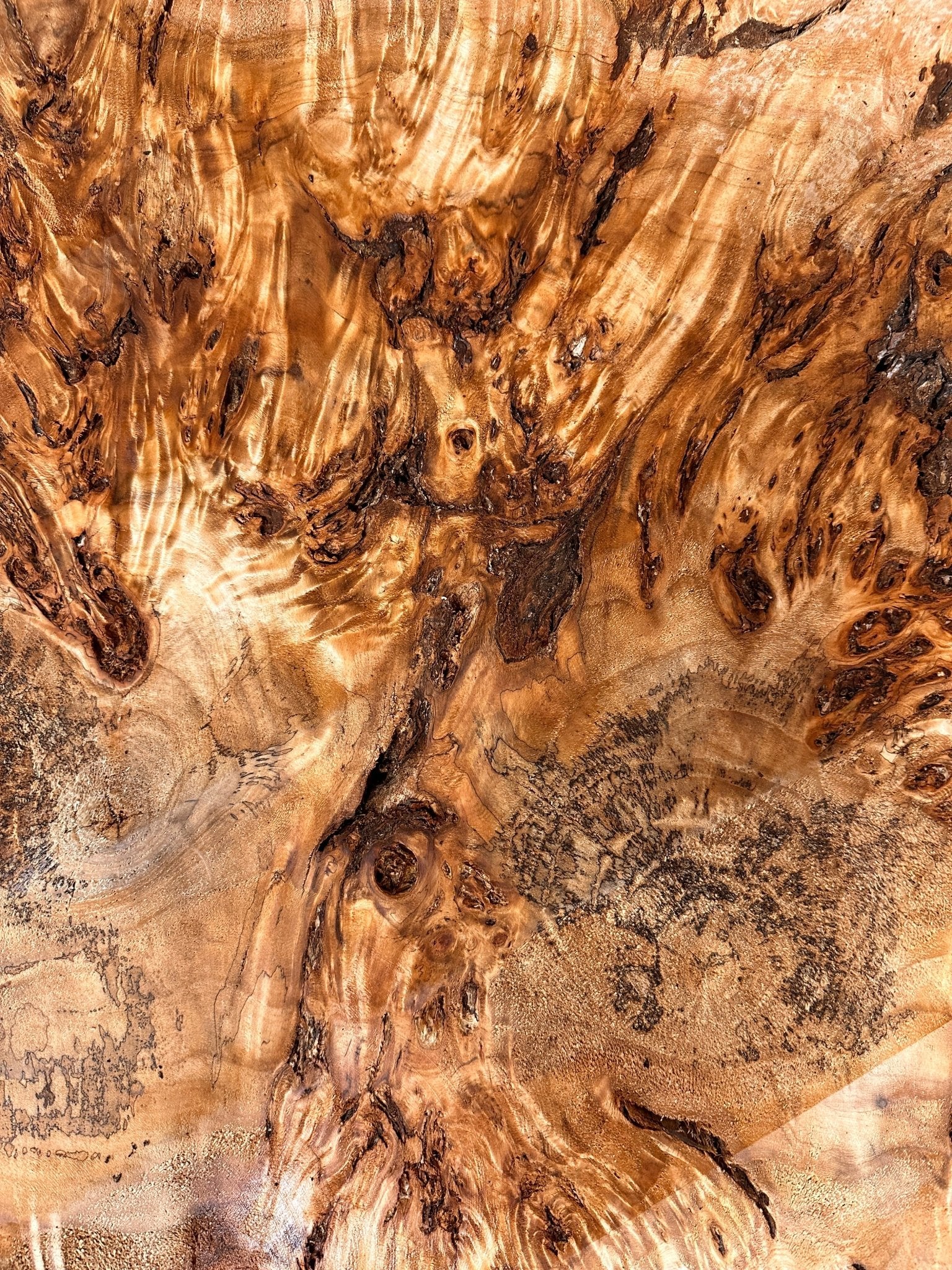 LiveEdge Mappa Burl Cookie | Mappa Burl | Hamilton Lee Supply