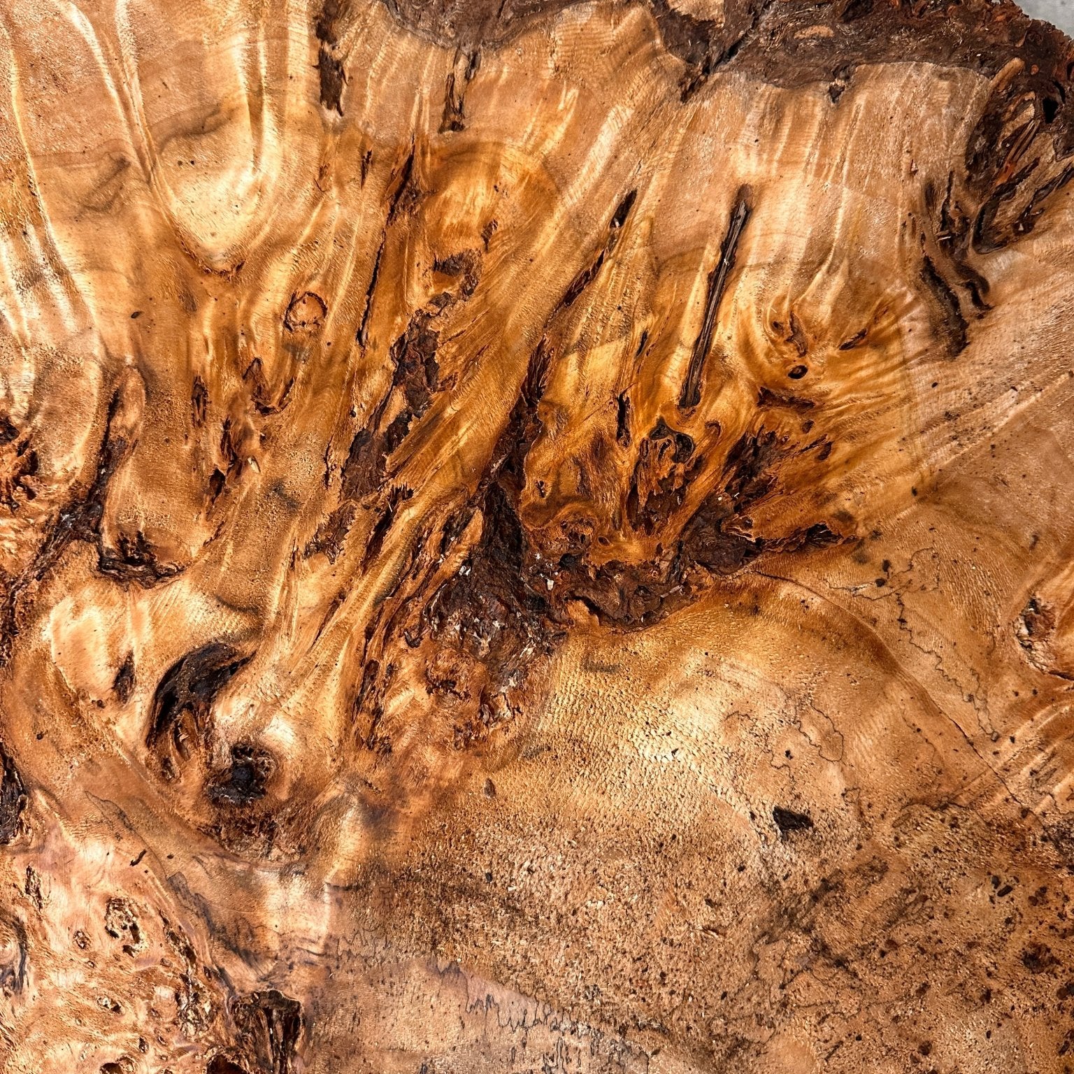 LiveEdge Mappa Burl Cookie | Mappa Burl | Hamilton Lee Supply