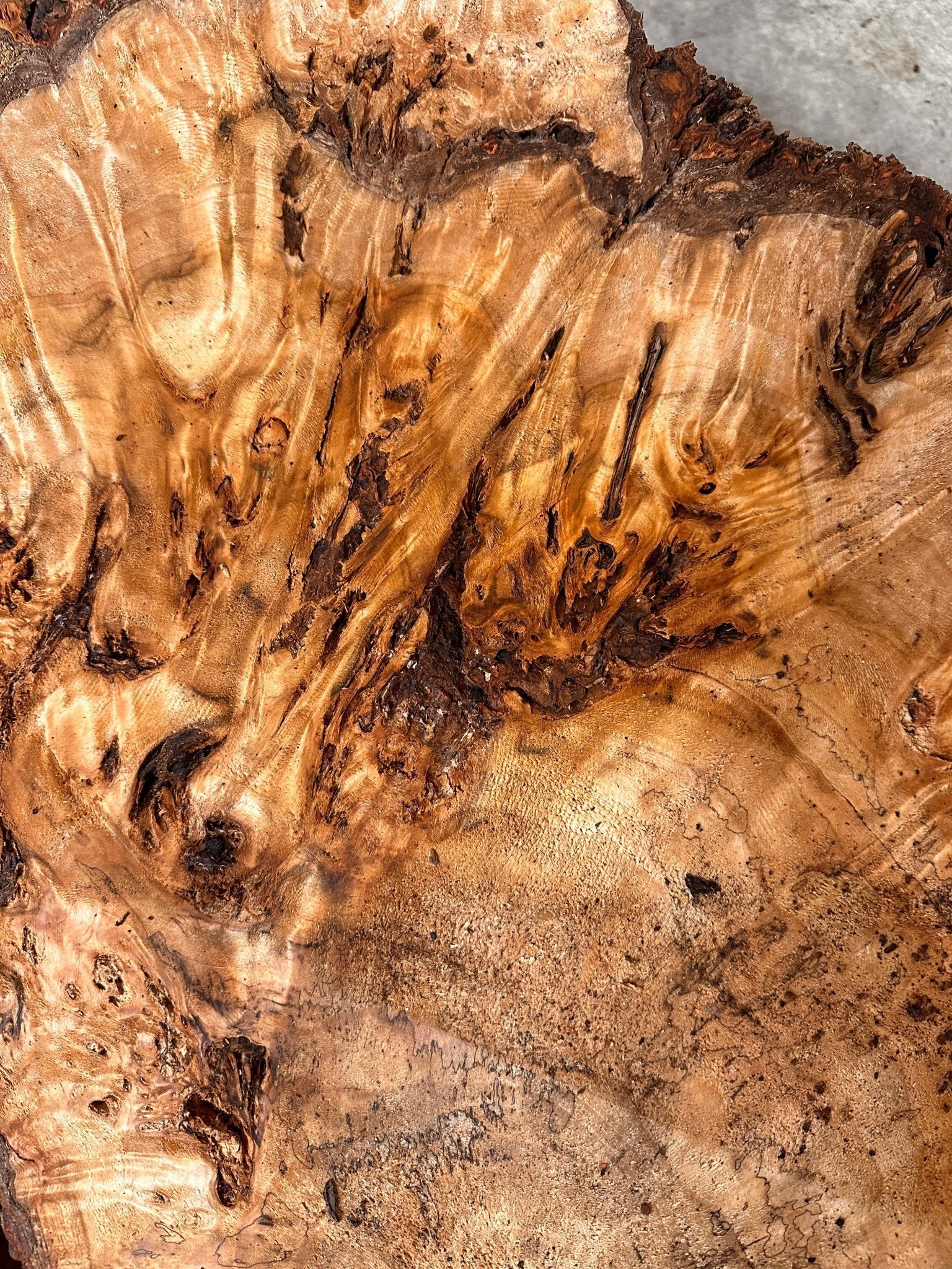 LiveEdge Mappa Burl Cookie | Mappa Burl | Hamilton Lee Supply