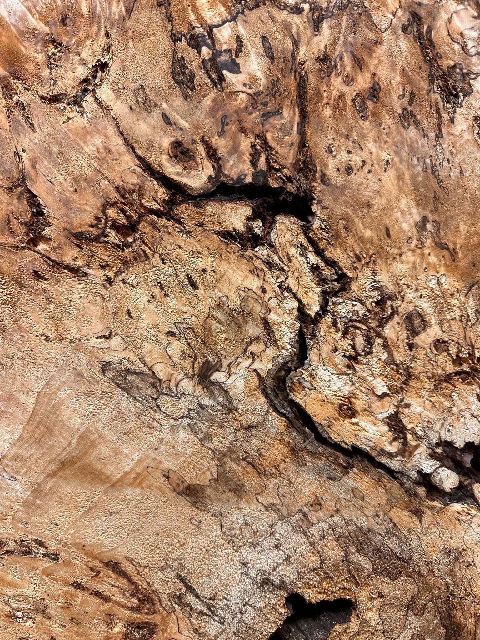 LiveEdge Mappa Burl Cookie | Mappa Burl | Hamilton Lee Supply