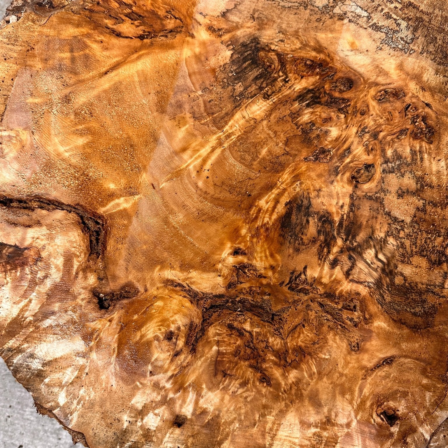 LiveEdge Mappa Burl Cookie | Mappa Burl | Hamilton Lee Supply