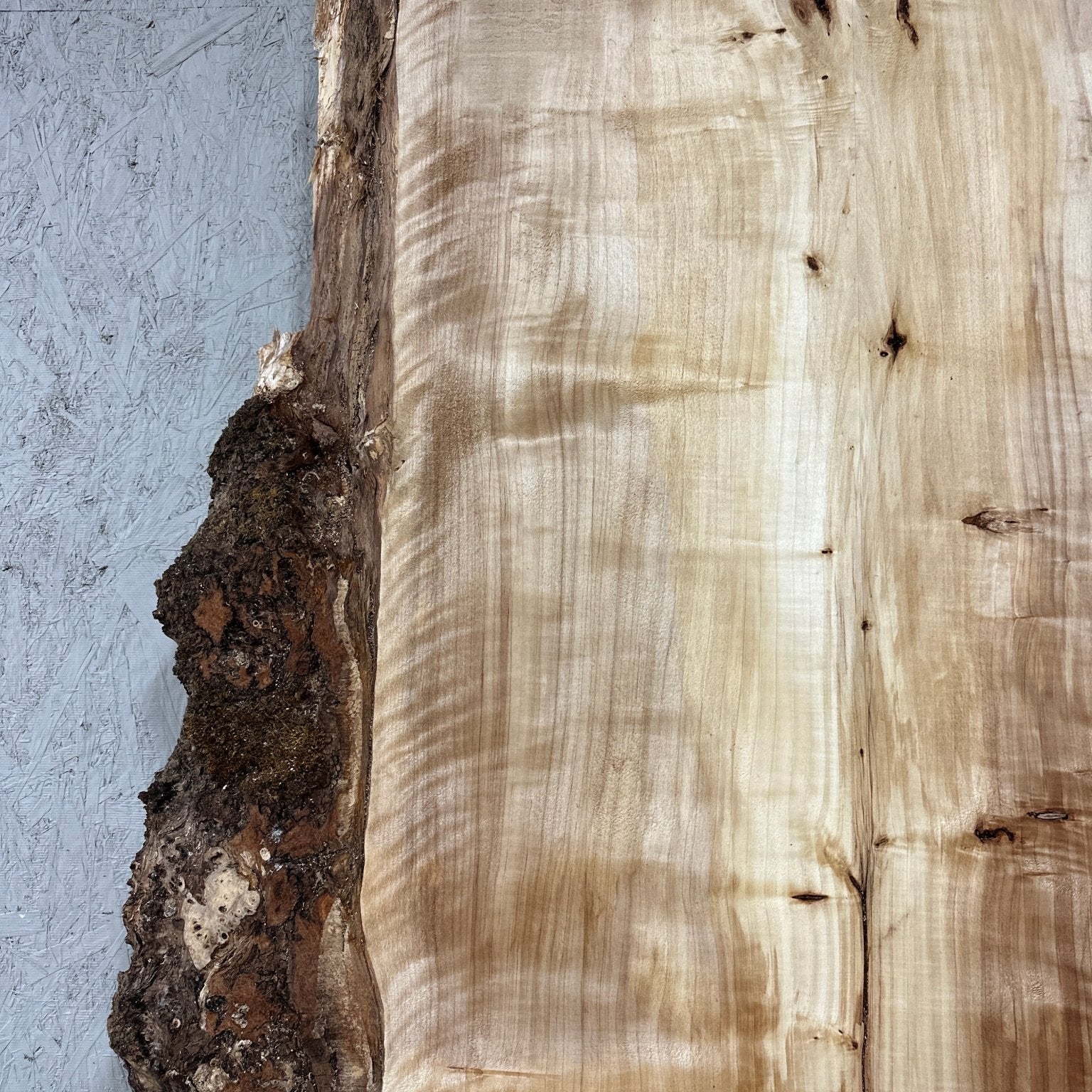 LiveEdge Mappa Burl | Mappa Burl | Hamilton Lee Supply