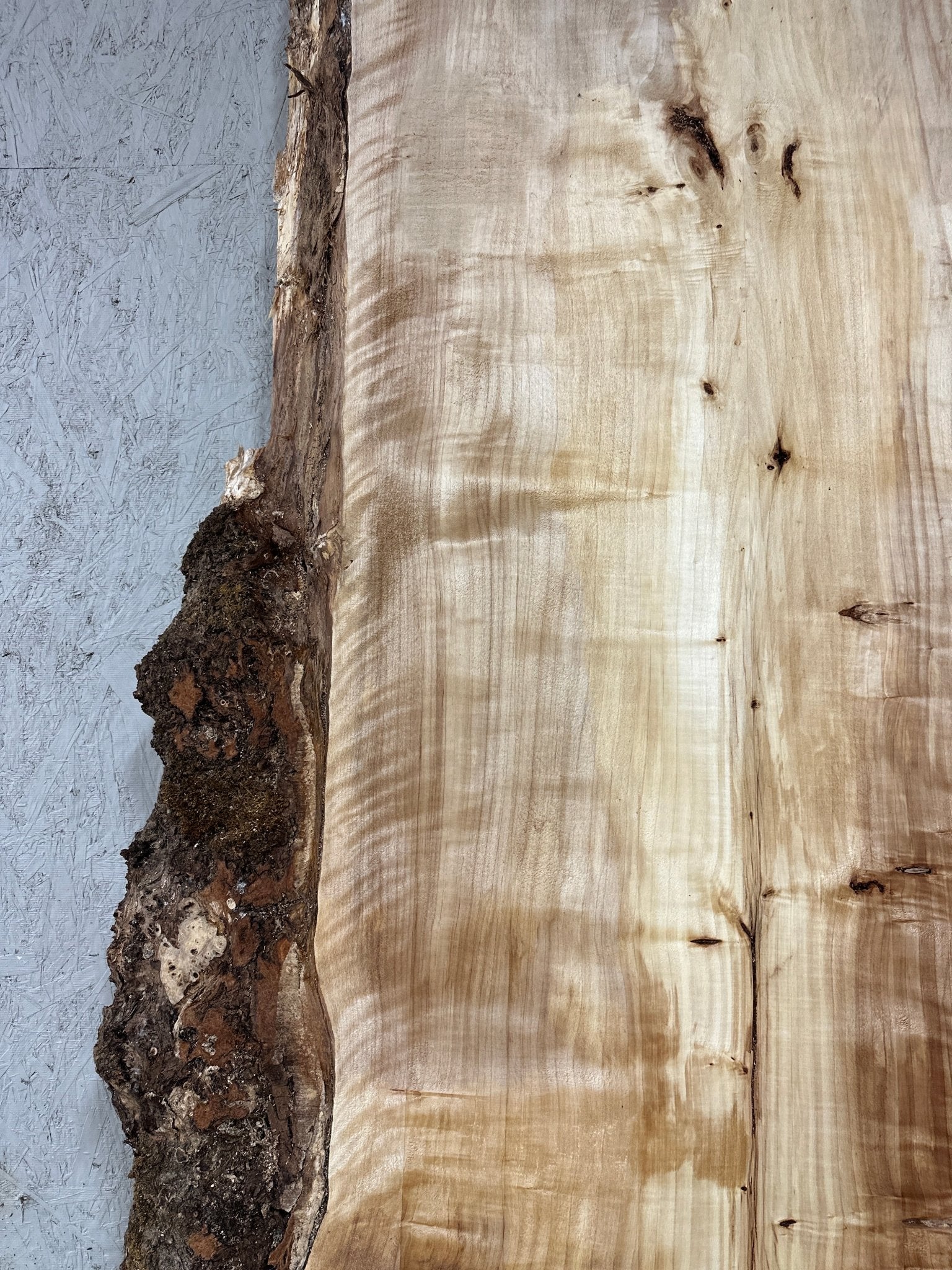 LiveEdge Mappa Burl | Mappa Burl | Hamilton Lee Supply