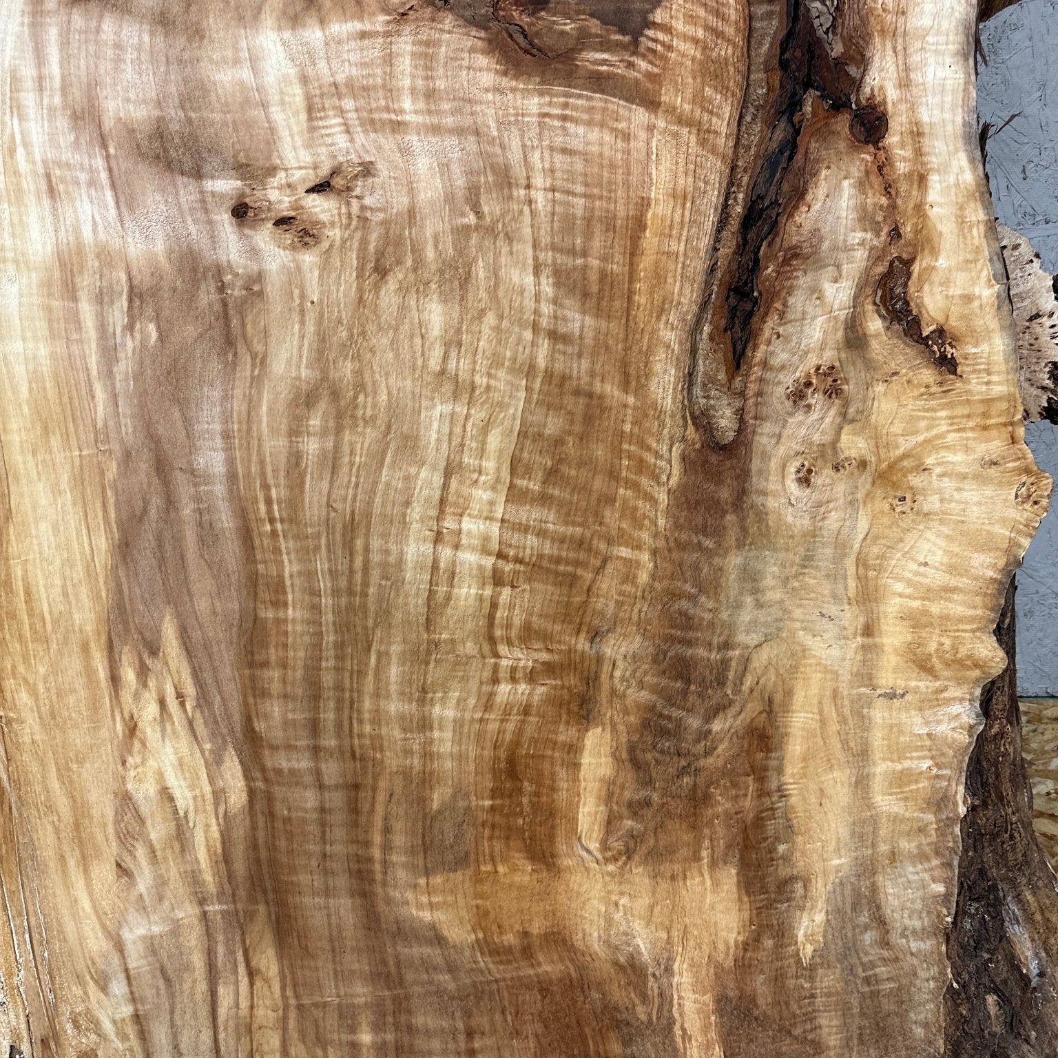 LiveEdge Mappa Burl | Mappa Burl | Hamilton Lee Supply