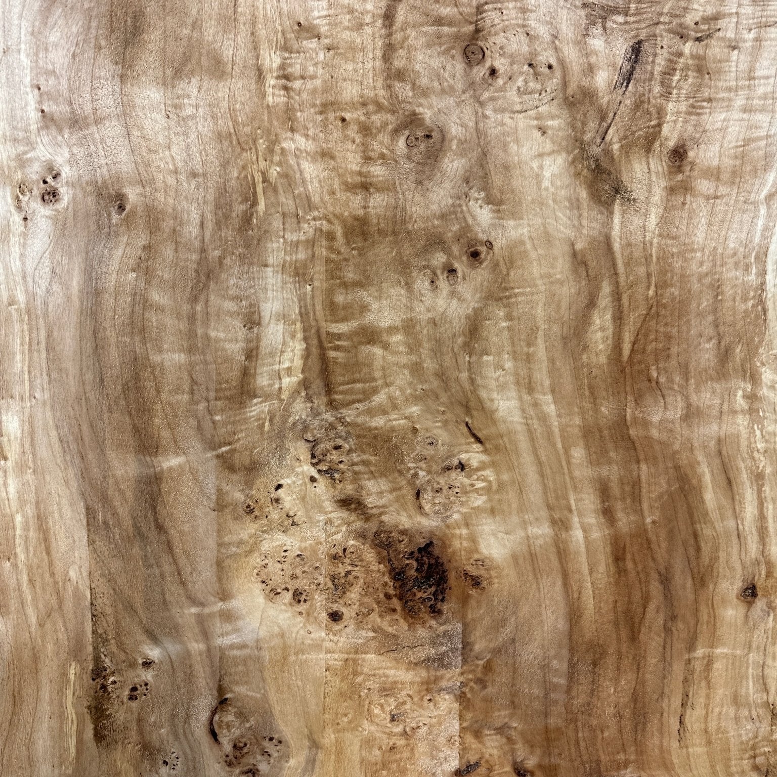 LiveEdge Mappa Burl | Mappa Burl | Hamilton Lee Supply