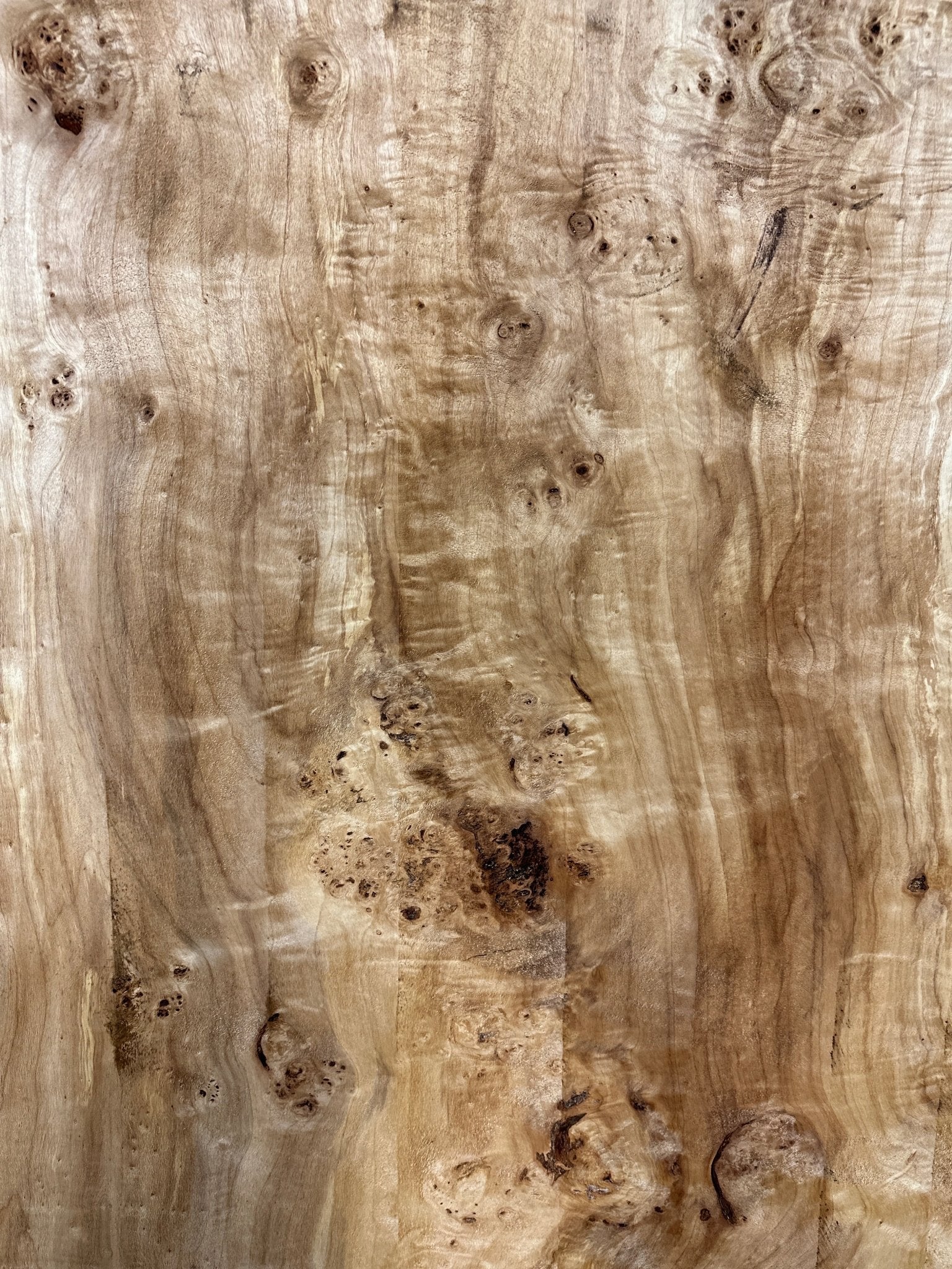 LiveEdge Mappa Burl | Mappa Burl | Hamilton Lee Supply