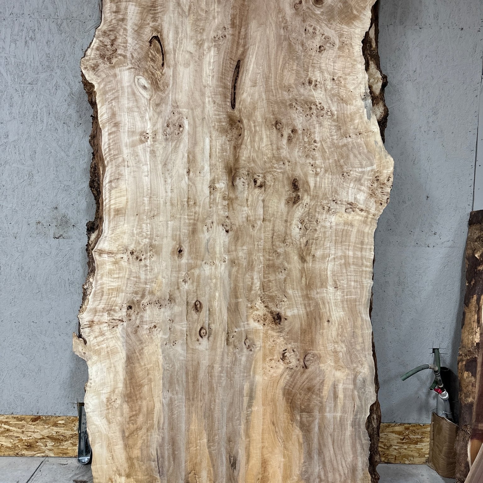LiveEdge Mappa Burl | Mappa Burl | Hamilton Lee Supply