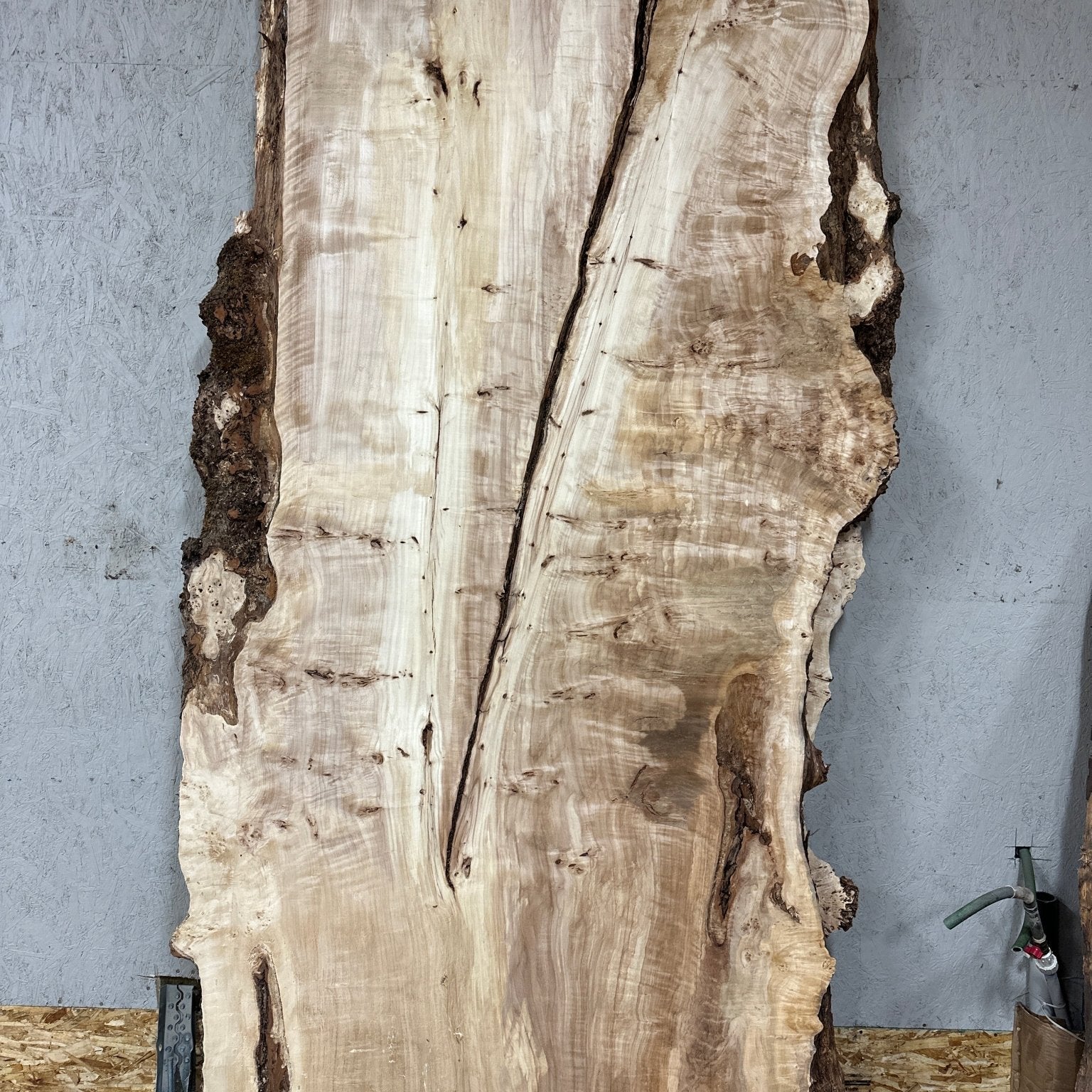 LiveEdge Mappa Burl | Mappa Burl | Hamilton Lee Supply