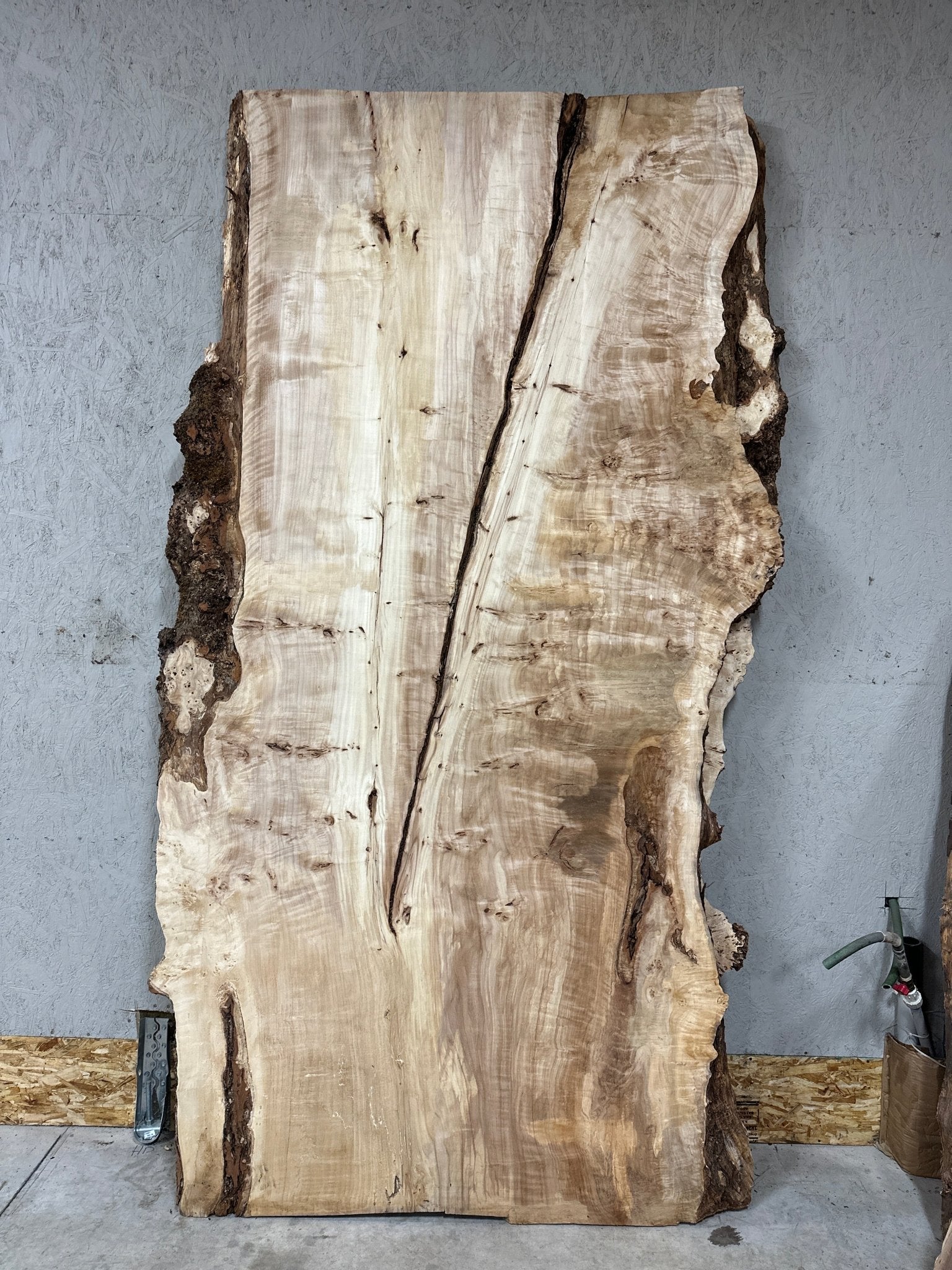 LiveEdge Mappa Burl | Mappa Burl | Hamilton Lee Supply