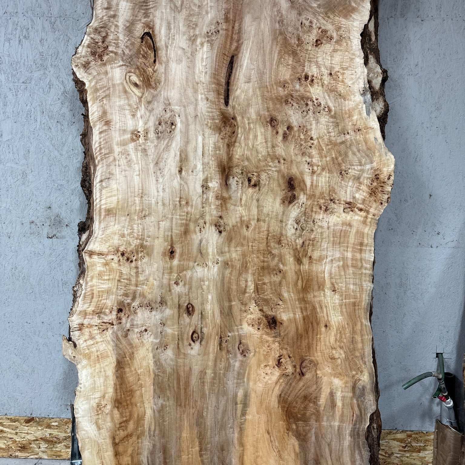 LiveEdge Mappa Burl | Mappa Burl | Hamilton Lee Supply