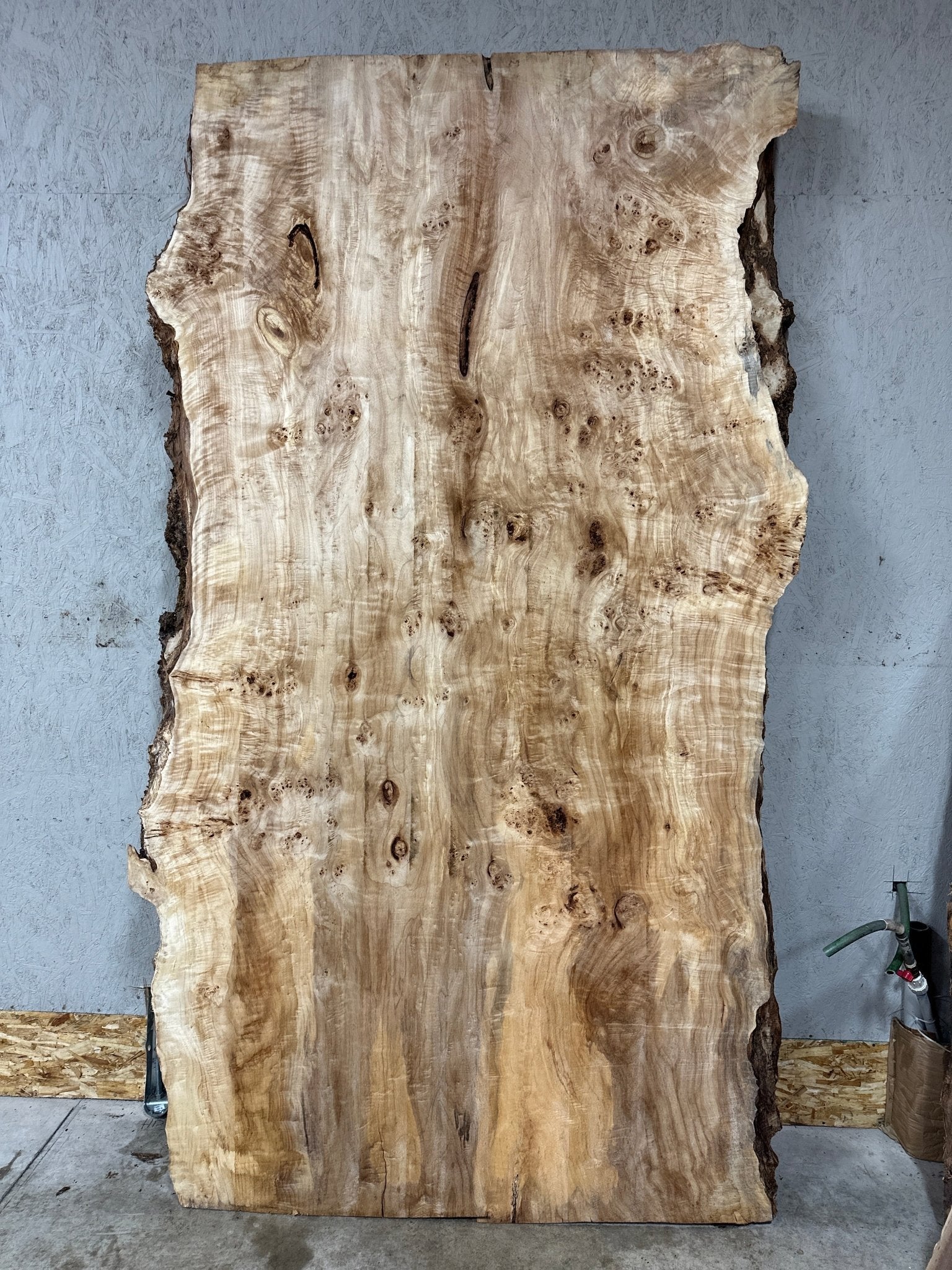 LiveEdge Mappa Burl | Mappa Burl | Hamilton Lee Supply