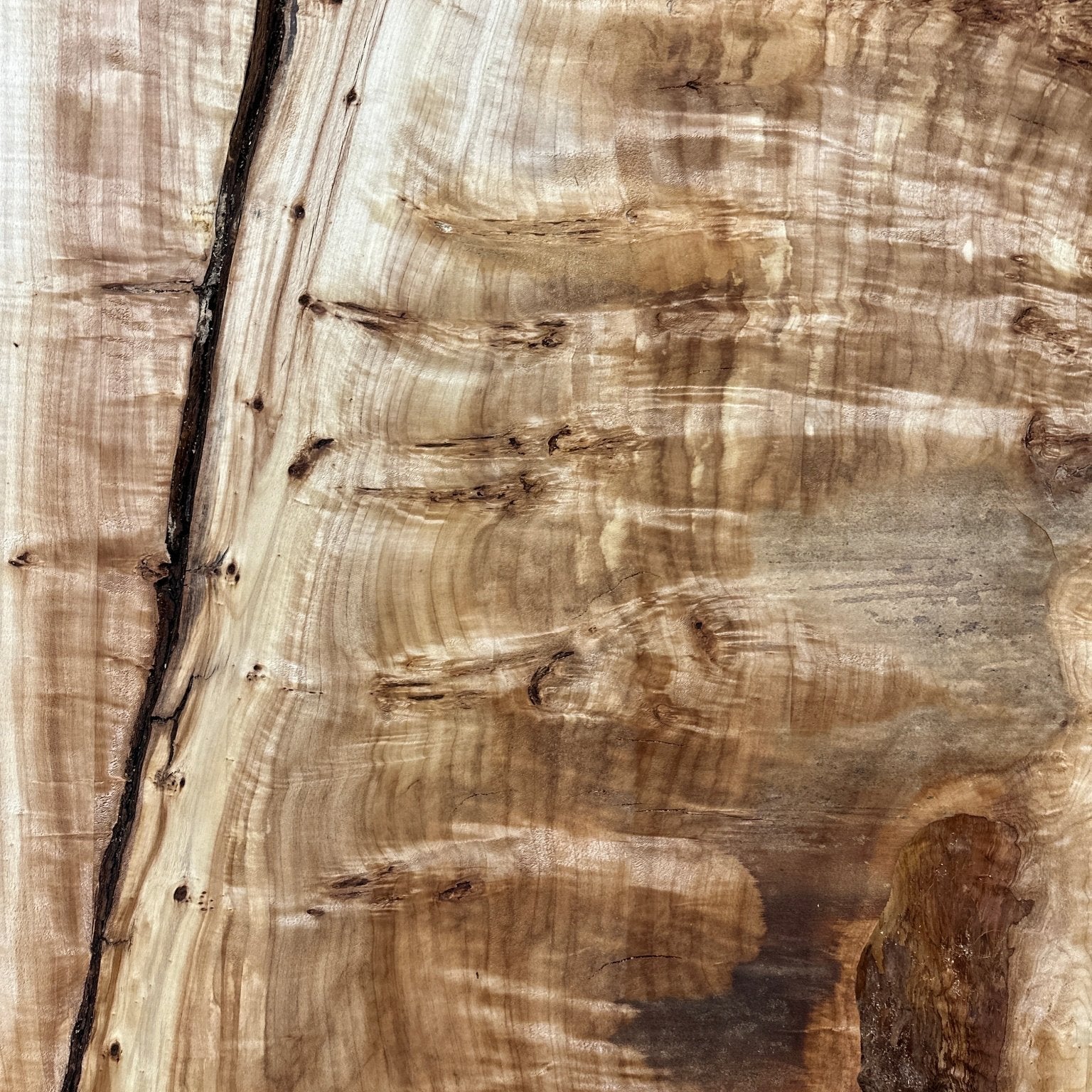 LiveEdge Mappa Burl | Mappa Burl | Hamilton Lee Supply