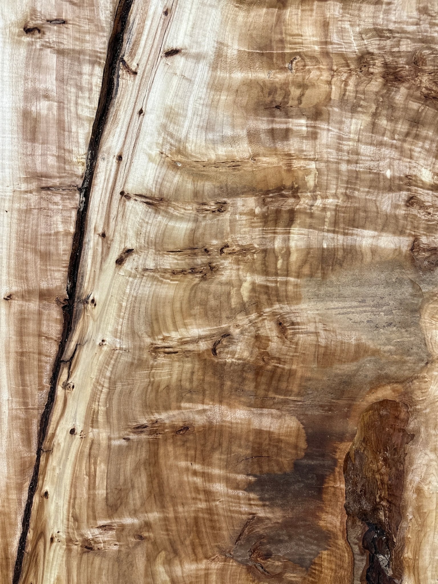 LiveEdge Mappa Burl | Mappa Burl | Hamilton Lee Supply