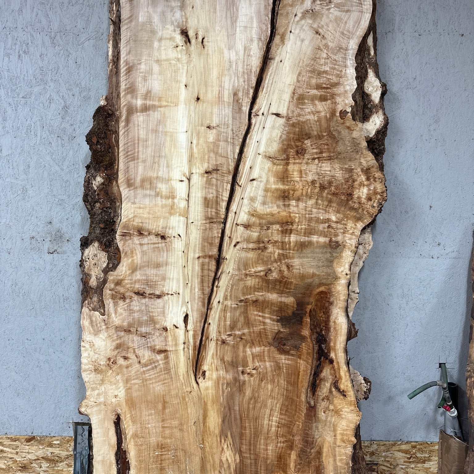 LiveEdge Mappa Burl | Mappa Burl | Hamilton Lee Supply