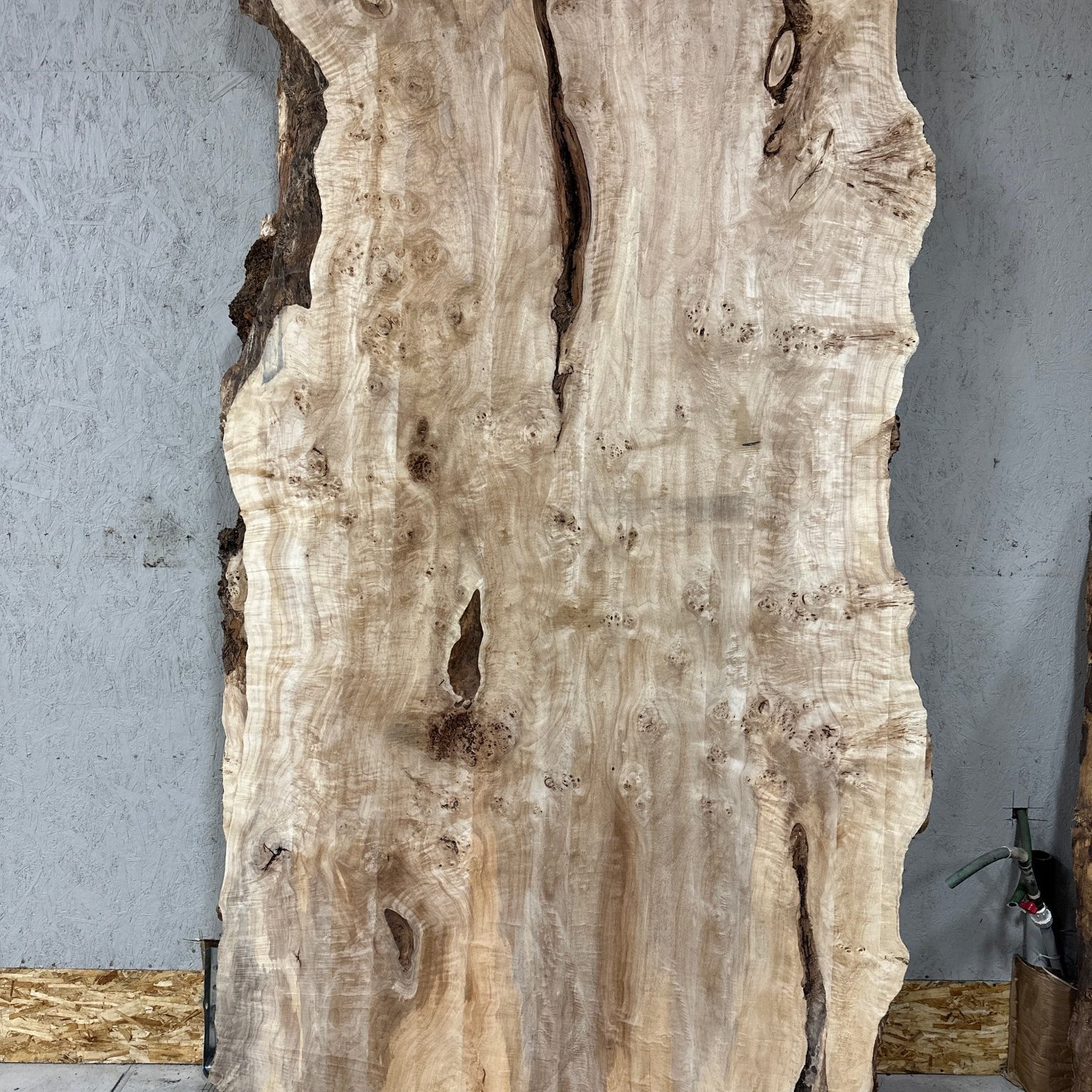 LiveEdge Mappa Burl | Mappa Burl | Hamilton Lee Supply
