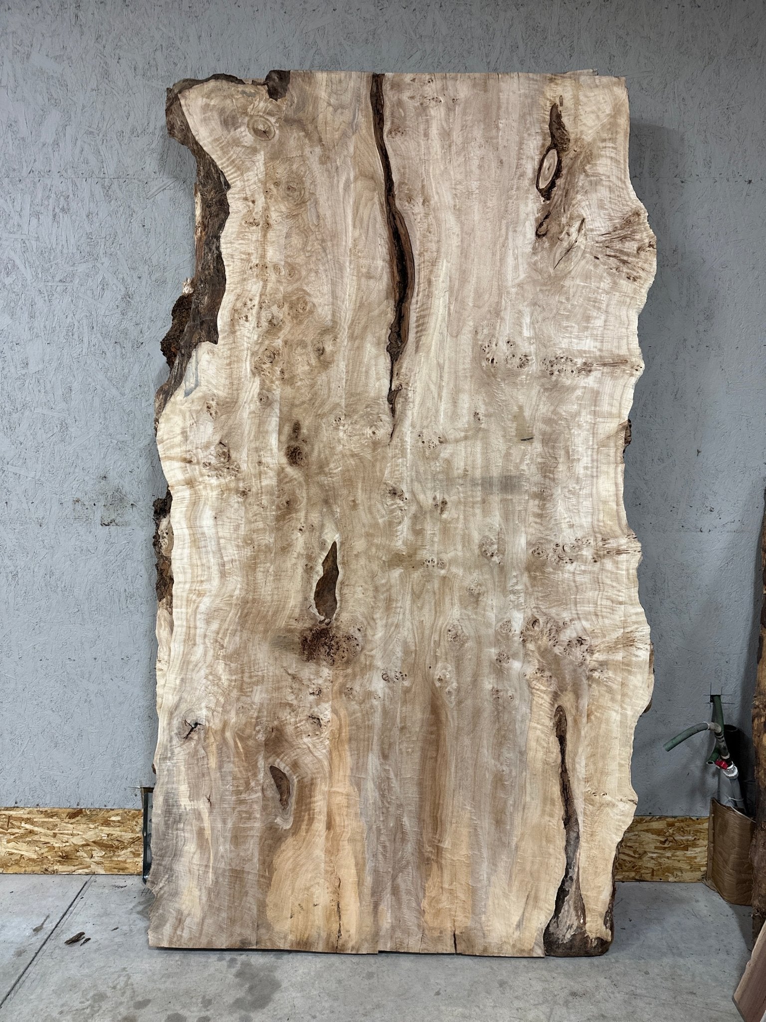 LiveEdge Mappa Burl | Mappa Burl | Hamilton Lee Supply