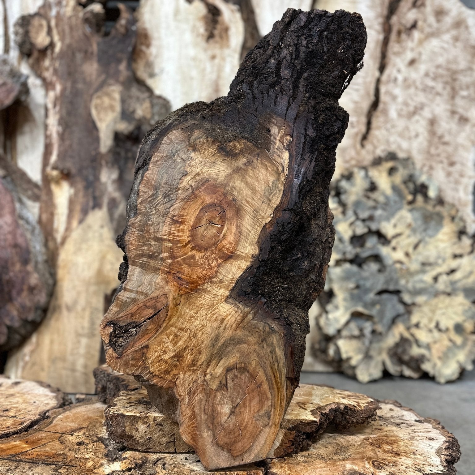 LiveEdge Silver Maple | Silver Maple | Hamilton Lee Supply