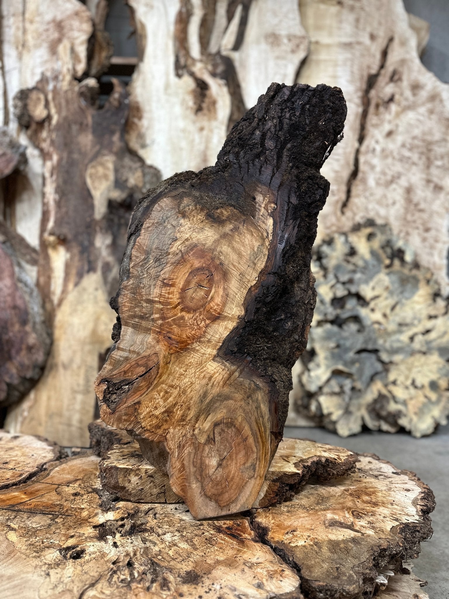 LiveEdge Silver Maple | Silver Maple | Hamilton Lee Supply