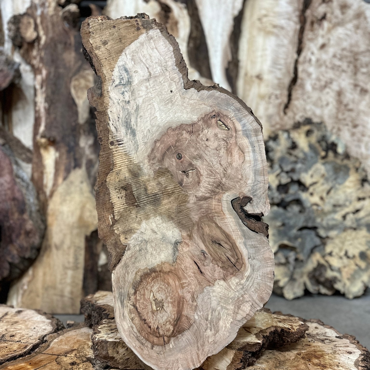 LiveEdge Silver Maple | Silver Maple | Hamilton Lee Supply