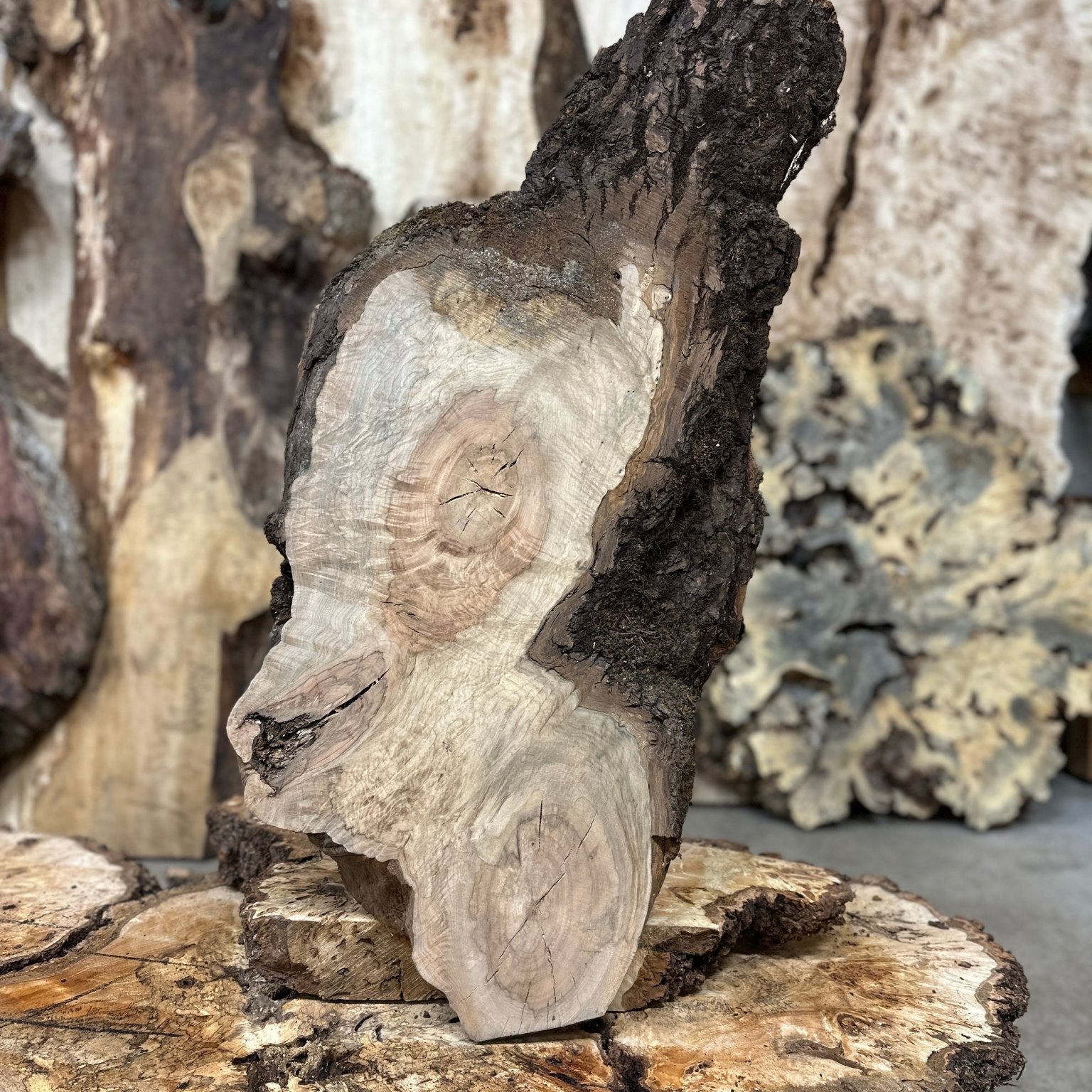 LiveEdge Silver Maple | Silver Maple | Hamilton Lee Supply