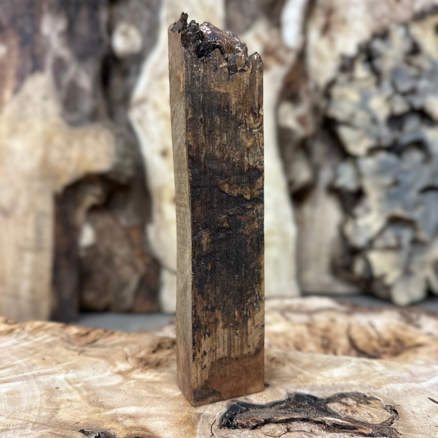 Silver Maple Blank | Silver Maple | Hamilton Lee Supply