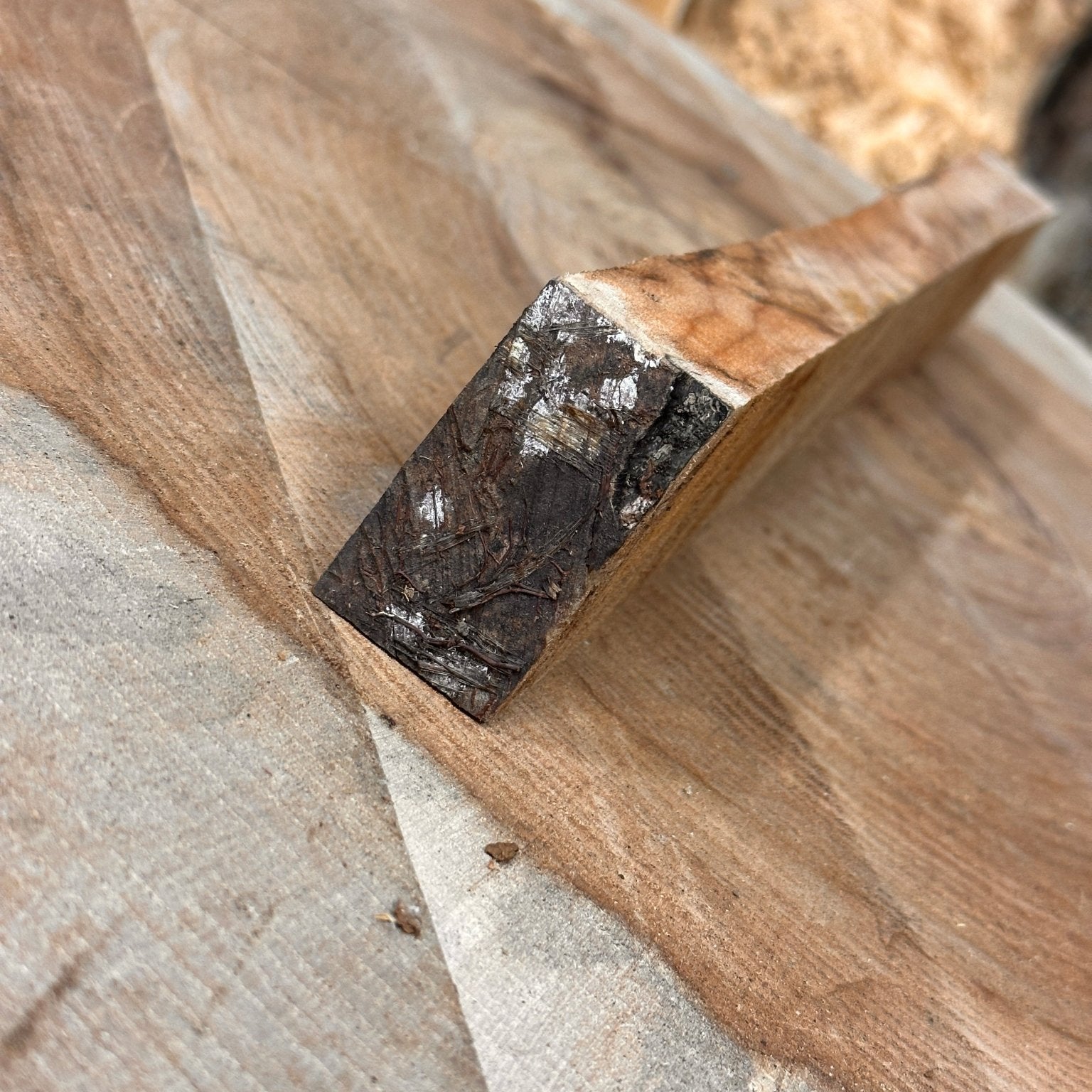 Silver Maple Blank | Silver Maple | Hamilton Lee Supply