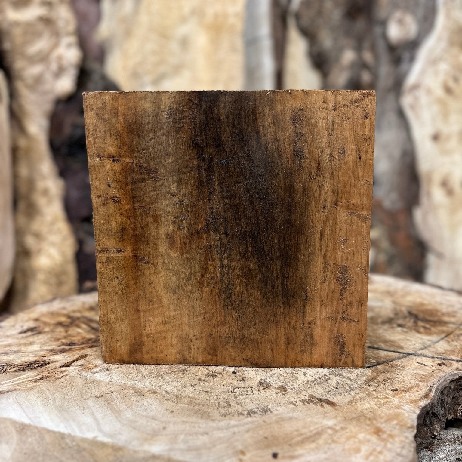 Willow Blank | Willow | Hamilton Lee Supply