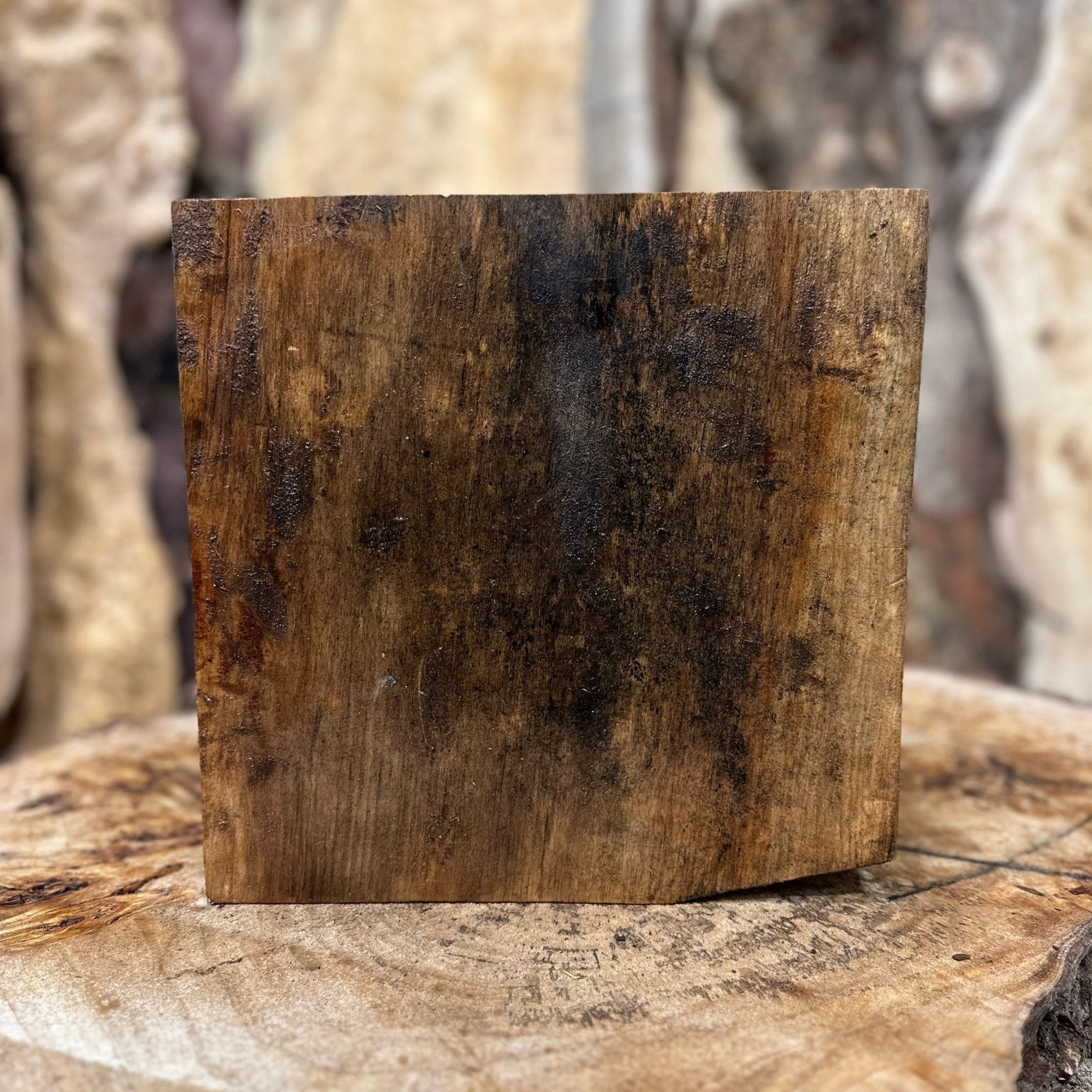 Willow Blank | Willow | Hamilton Lee Supply