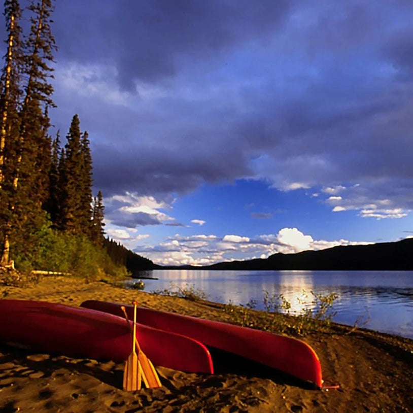 EcoPoxy GelCoat 16.4kg | Epoxy | Hamilton Lee Supply