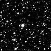 EcoPoxy Polyester Color Glitters 15G | Glitter Pigments | Hamilton Lee Supply