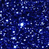 EcoPoxy Polyester Color Glitters 15G | Glitter Pigments | Hamilton Lee Supply