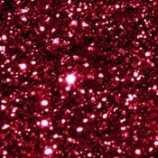 EcoPoxy Polyester Color Glitters 15G | Glitter Pigments | Hamilton Lee Supply