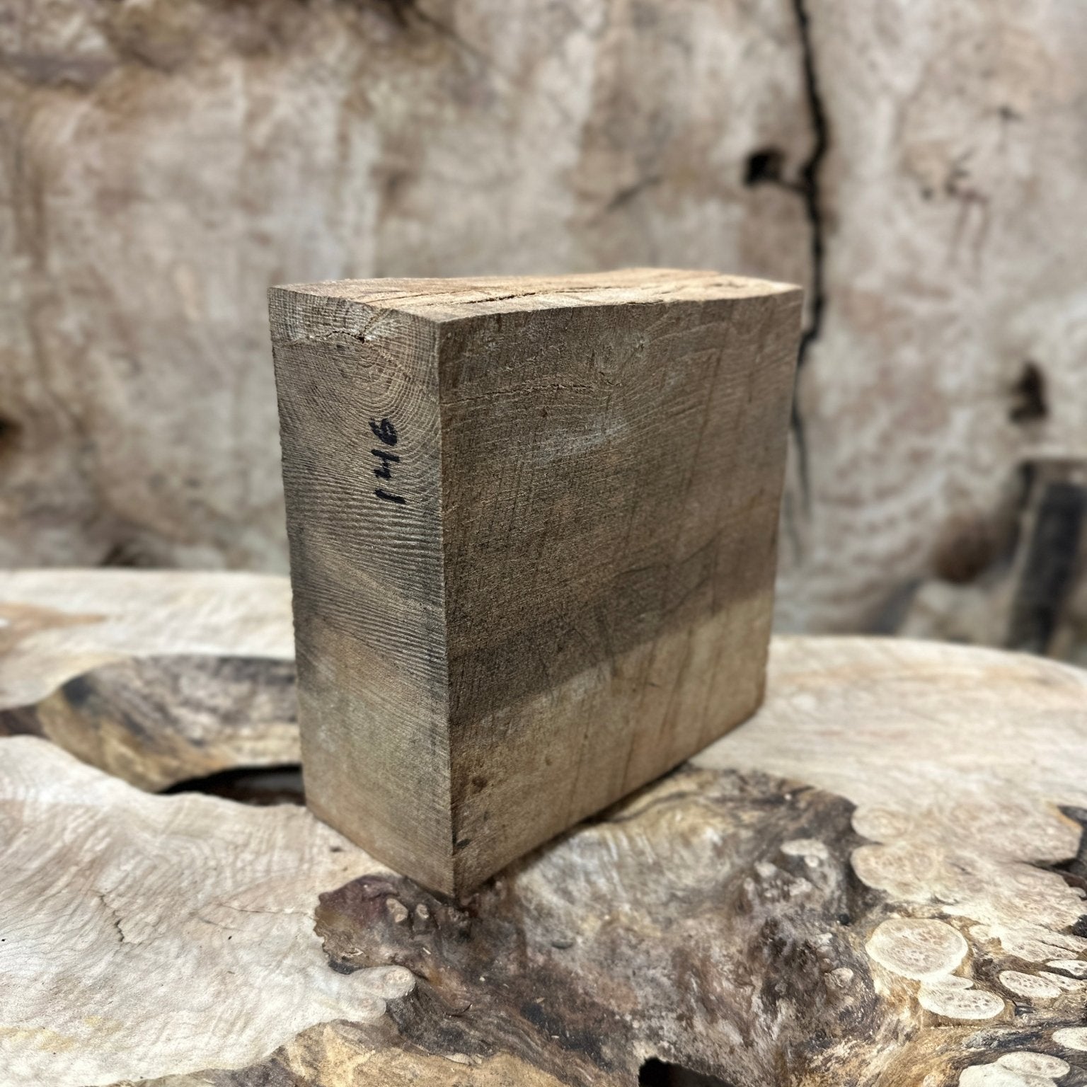 Elm Blank | Elm | Hamilton Lee Supply
