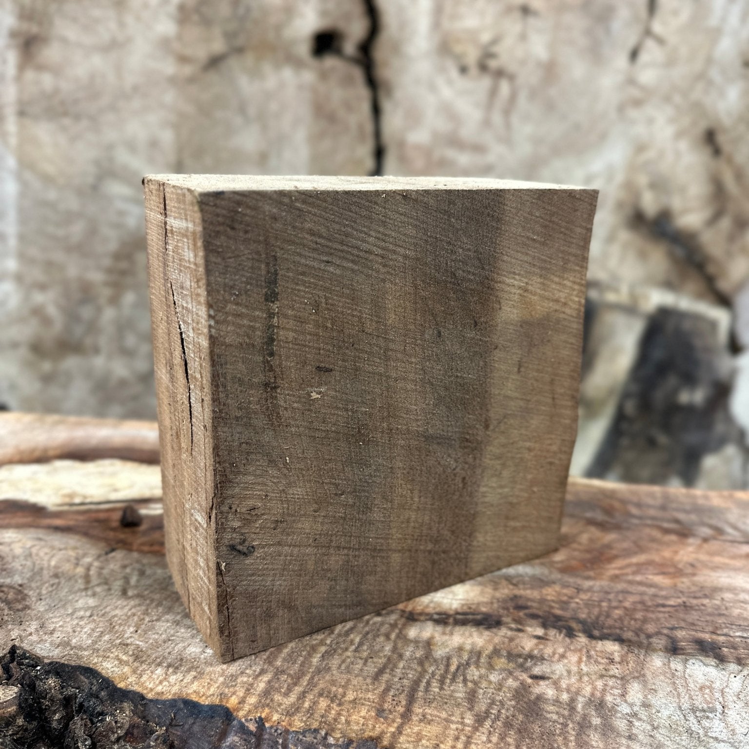 Elm Blank | Elm | Hamilton Lee Supply